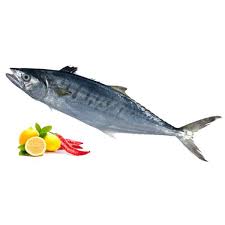 چند نوع غذا بايد به ماهي ها داده شود